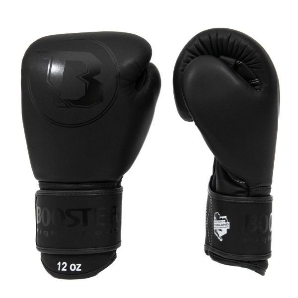 PRO BGL VX 1 – Bild 2