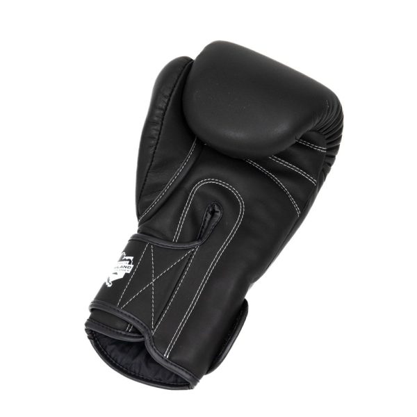 PRO BGL VX 1 – Bild 4