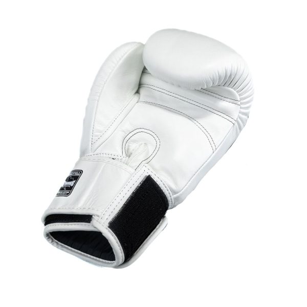 BG-N V2 WHITE – Bild 5