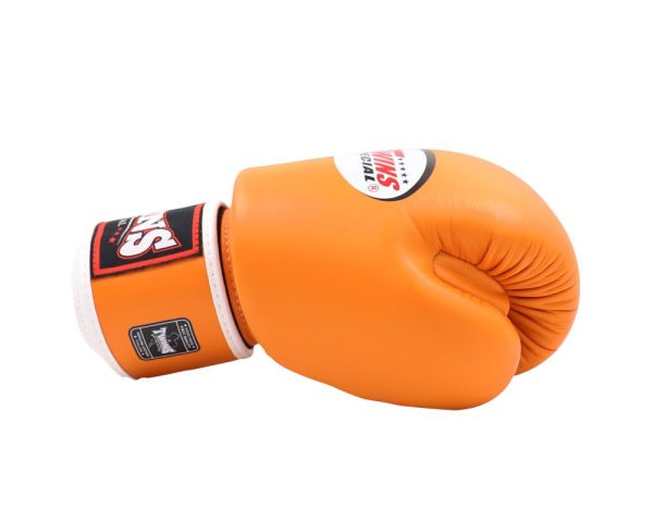 BGVL 3 APRICOT – Bild 3