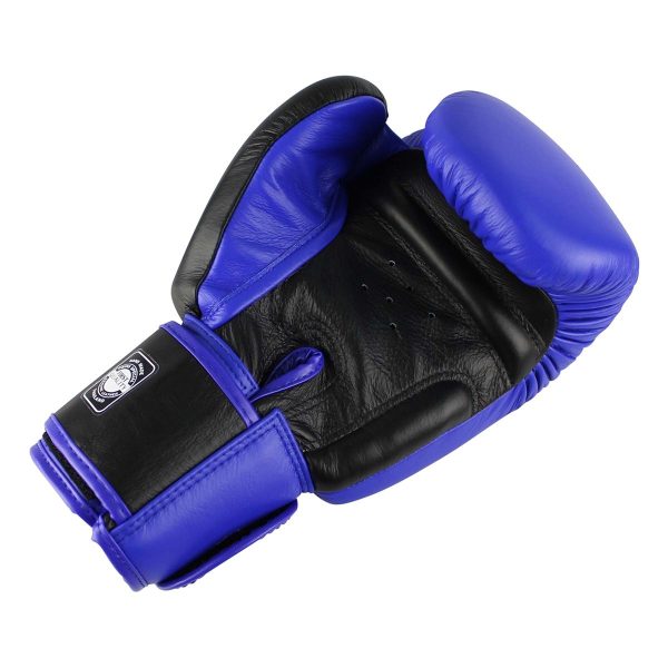 Twins Special Blue Black Boxhandschuh – Bild 2