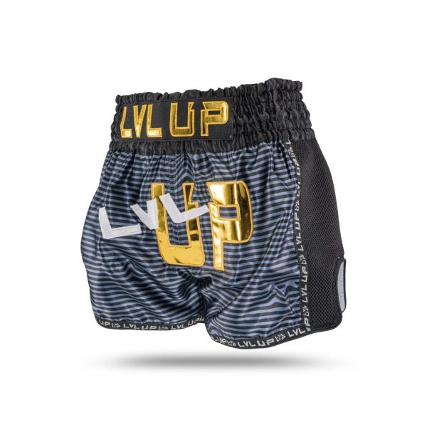 LVL UP FLASH 2 – Bild 2
