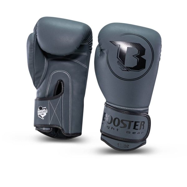 PRO BGL VX 2 – Bild 2