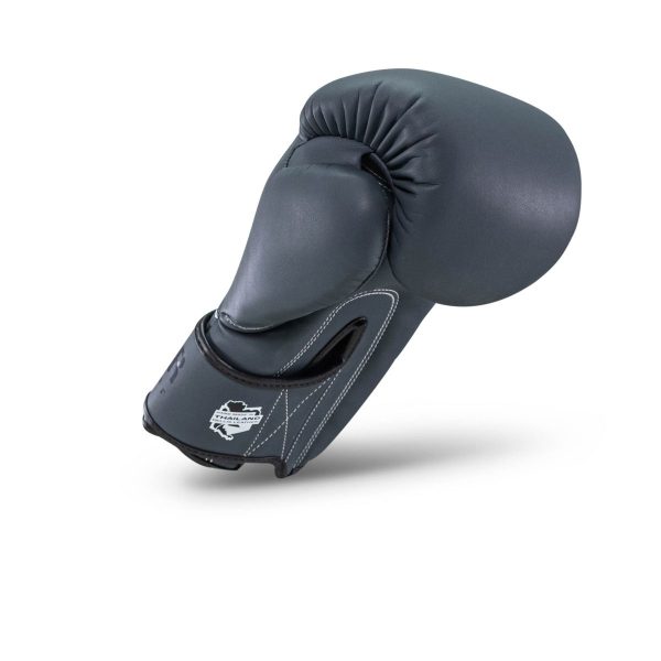 PRO BGL VX 2 – Bild 3