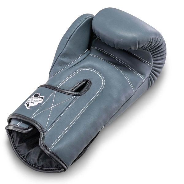 PRO BGL VX 2 – Bild 6