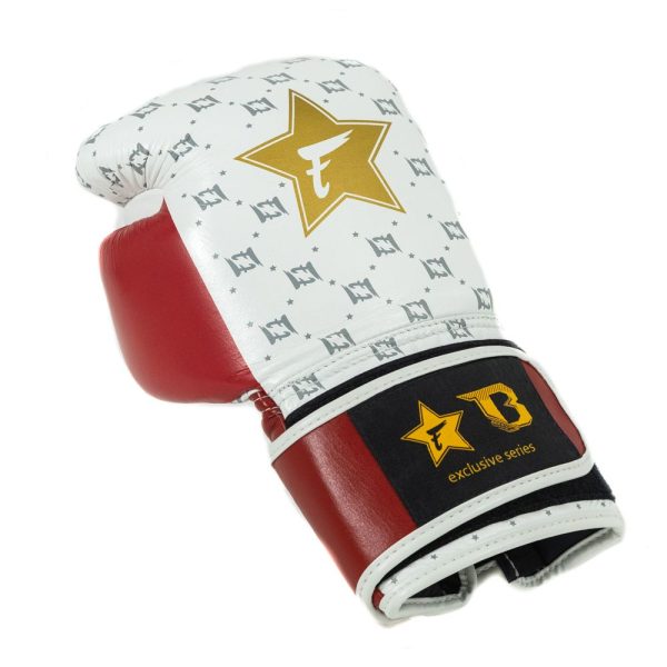 FXB-BG Star WH/WR – Bild 4